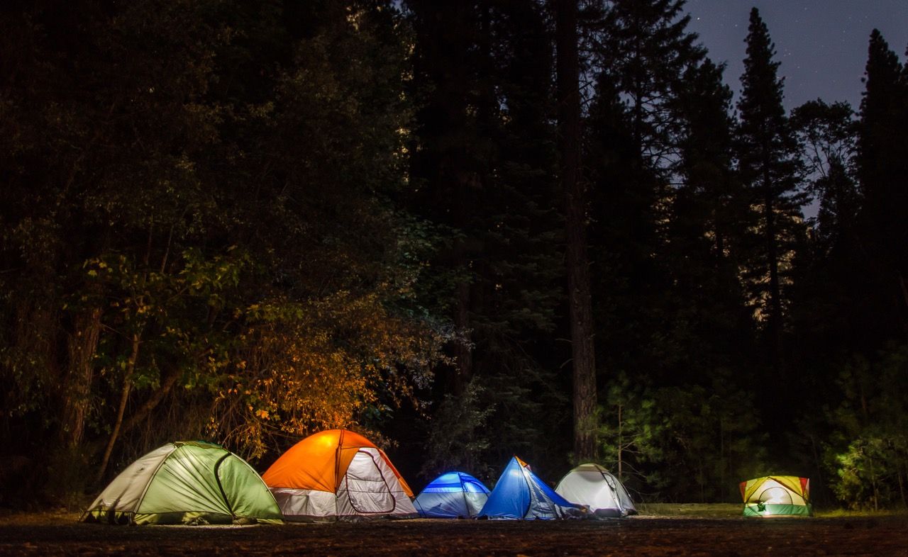 Camping in the forest