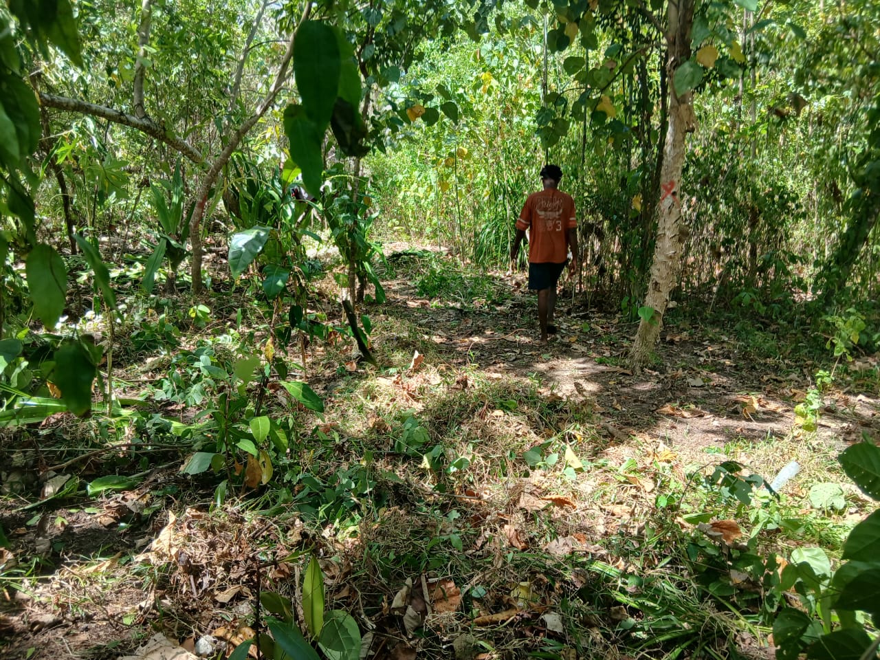 Pembersihan jalan treking dan aktifitas lain