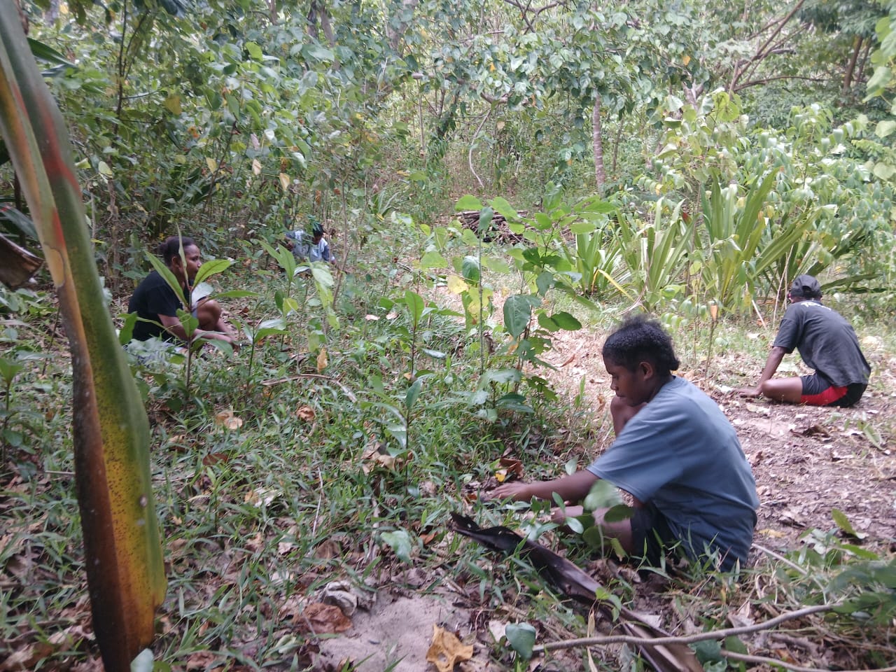 Pembersihan jalan treking dan aktifitas lain